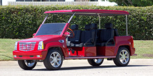 affordable golf cart rental, golf cart rent lake worth, cart rental lake worth