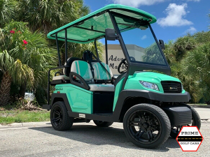 bintelli beyond golf cart, 4 passenger bintelli, 6 passenger bintelli